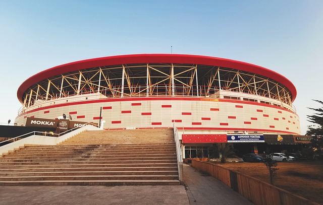 最高奖杯 最高奖杯