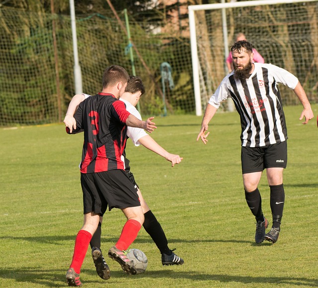 年究竟会交 年究竟会交