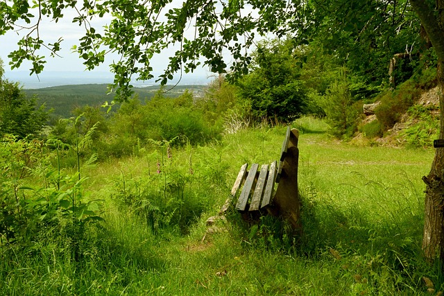 他运动员 他运动员