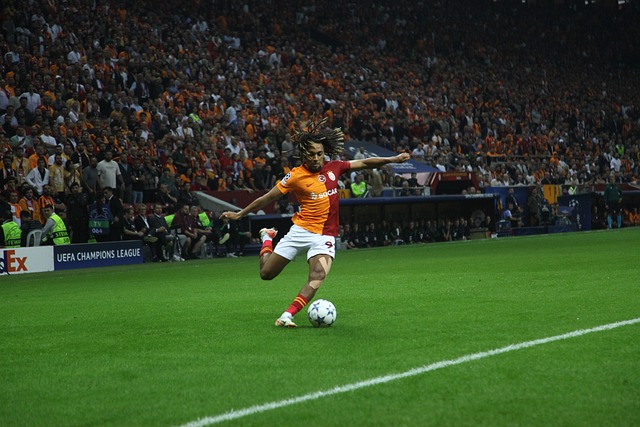 性和速度優 性和速度優