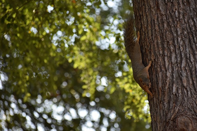 正是这个关 正是这个关