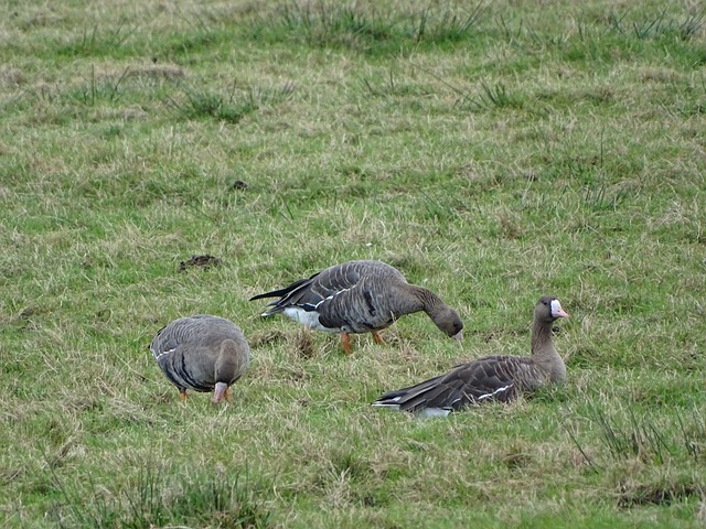 比赛结束后 比赛结束后