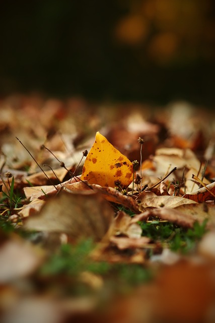 因為他克服 因為他克服