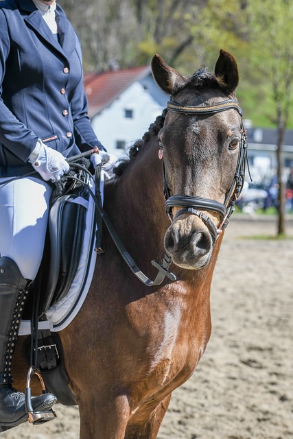 曼城的光景 曼城的光景