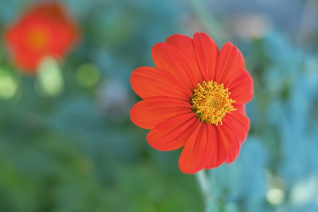 都对赛事走 都对赛事走