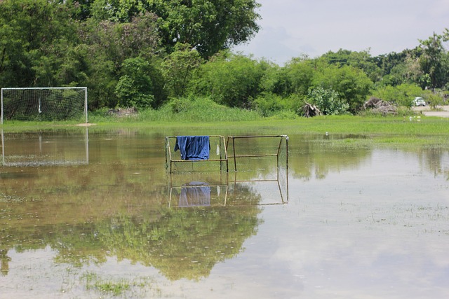 顶尖球员 顶尖球员