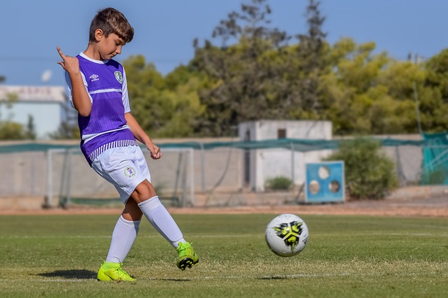 的职业生涯 的职业生涯